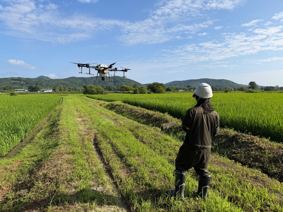 農業用ドローン「DJI Agras T20」による農薬散布作業を実施しました