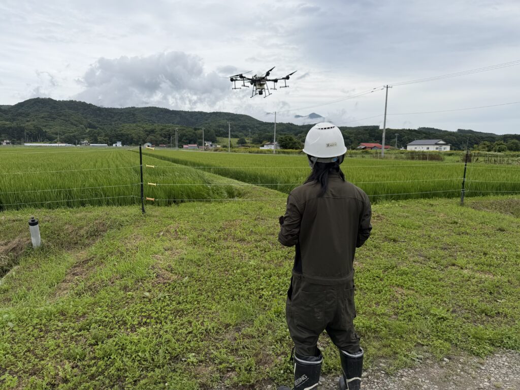 8/1 農業用ドローン「DJI Agras T20」による農薬散布作業を現地へ出張し実施しました